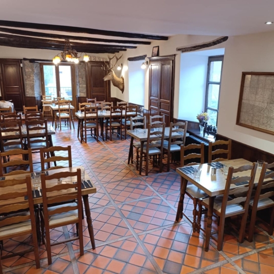  AGENCE TERRES D'IMMO : Commerces | FERRIERES-SAINT-MARY (15170) | 267 m2 | 350 000 € 