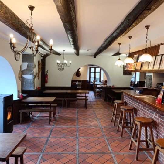  AGENCE TERRES D'IMMO : Commerces | FERRIERES-SAINT-MARY (15170) | 267 m2 | 350 000 € 