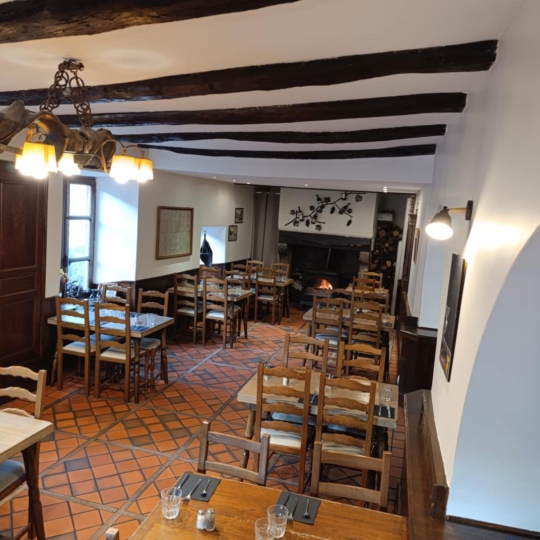  AGENCE TERRES D'IMMO : Commerces | FERRIERES-SAINT-MARY (15170) | 267 m2 | 350 000 € 
