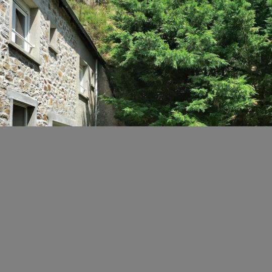  AGENCE TERRES D'IMMO : Maison / Villa | PEYRUSSE (15170) | 52 m2 | 85 000 € 