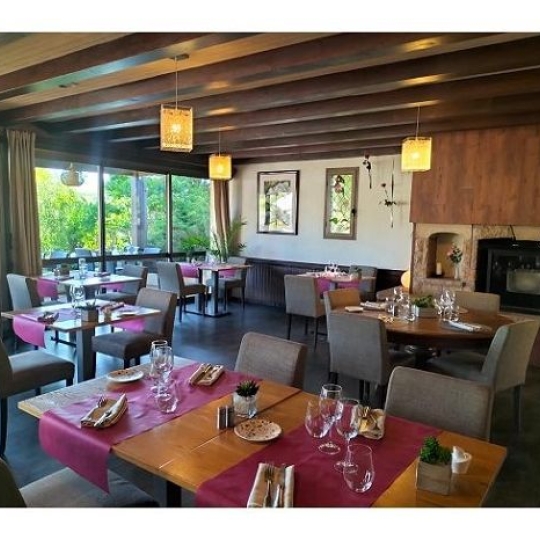  AGENCE TERRES D'IMMO : Local / Bureau | NEUVEGLISE-SUR-TRUYERE (15260) | 680 m2 | 630 000 € 
