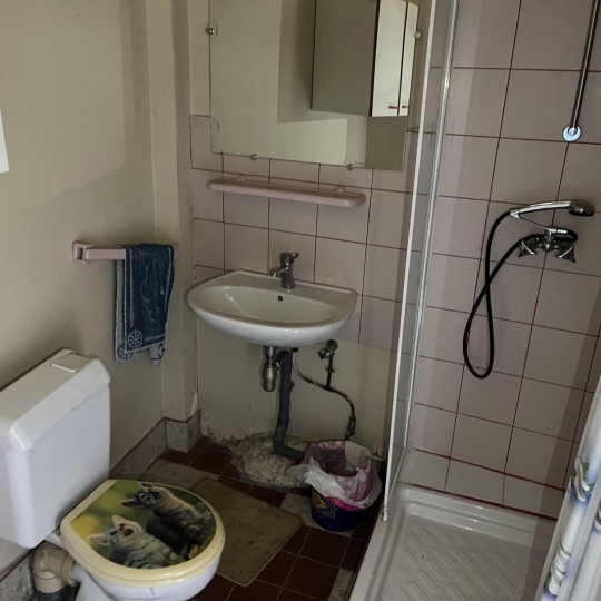  AGENCE TERRES D'IMMO : Maison / Villa | GRENIER-MONTGON (43450) | 43 m2 | 43 000 € 