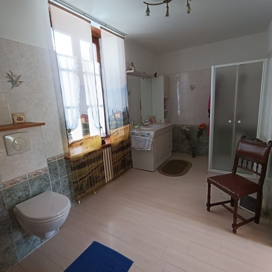  AGENCE TERRES D'IMMO : Maison / Villa | PEYRUSSE (15170) | 155 m2 | 95 500 € 