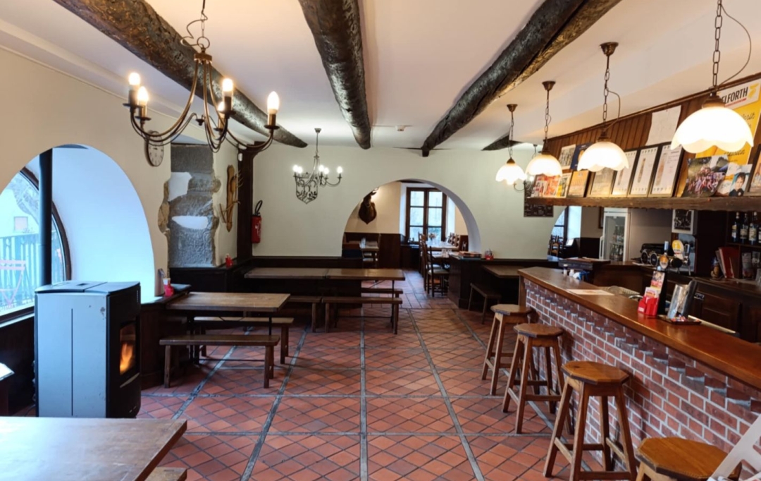 AGENCE TERRES D'IMMO : Commerces | FERRIERES-SAINT-MARY (15170) | 267 m2 | 350 000 € 