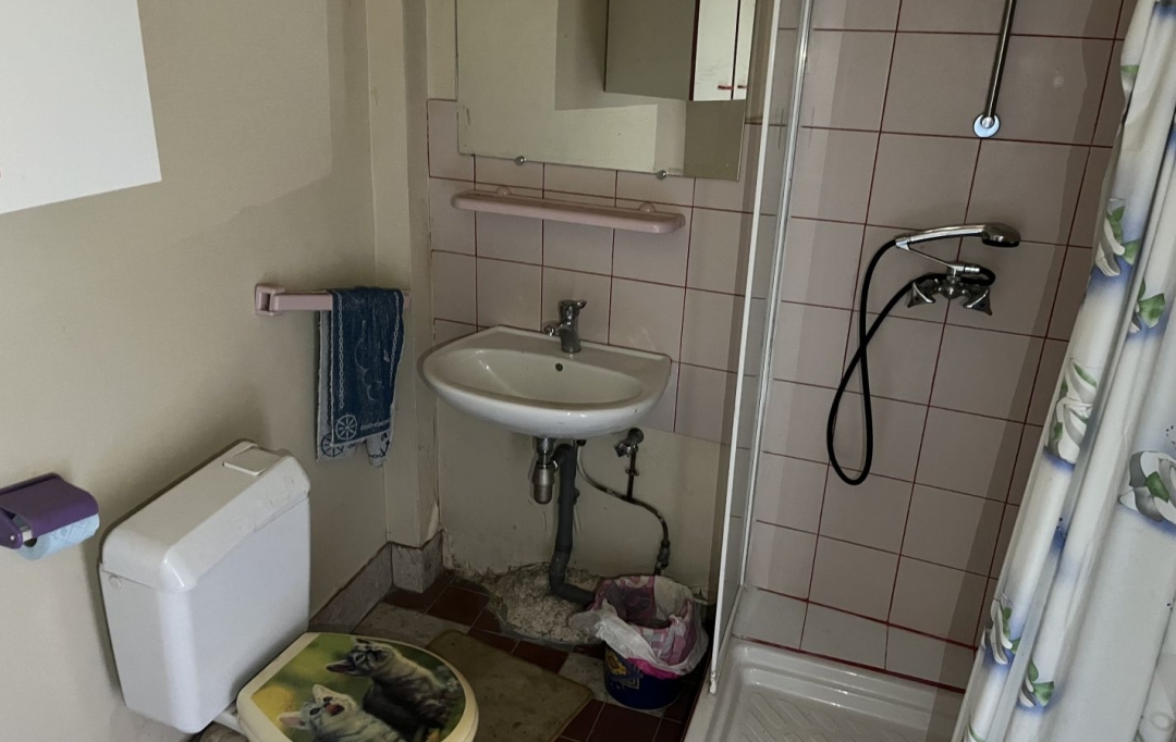 AGENCE TERRES D'IMMO : Maison / Villa | GRENIER-MONTGON (43450) | 43 m2 | 43 000 € 