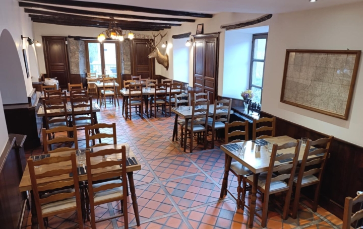 Activité commerciale FERRIERES-SAINT-MARY 267 m2 350 000 € Activité commerciale FERRIERES-SAINT-MARY 267 m2 350 000 €