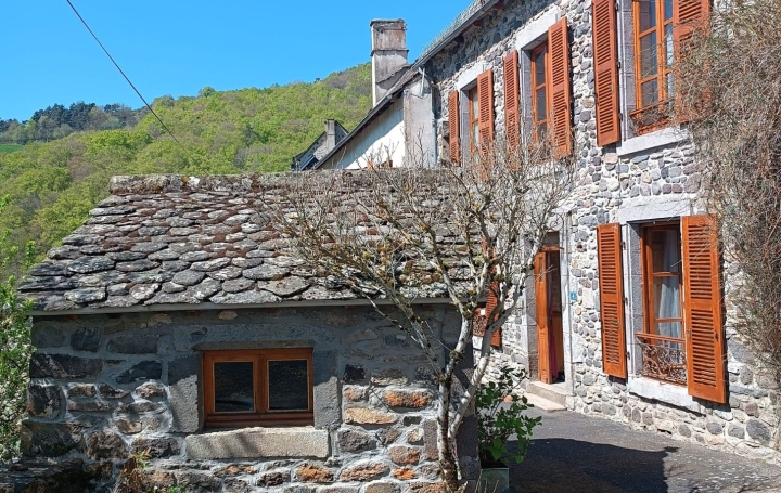 Maison PEYRUSSE 155 m2 95 500 € Maison PEYRUSSE 155 m2 95 500 €